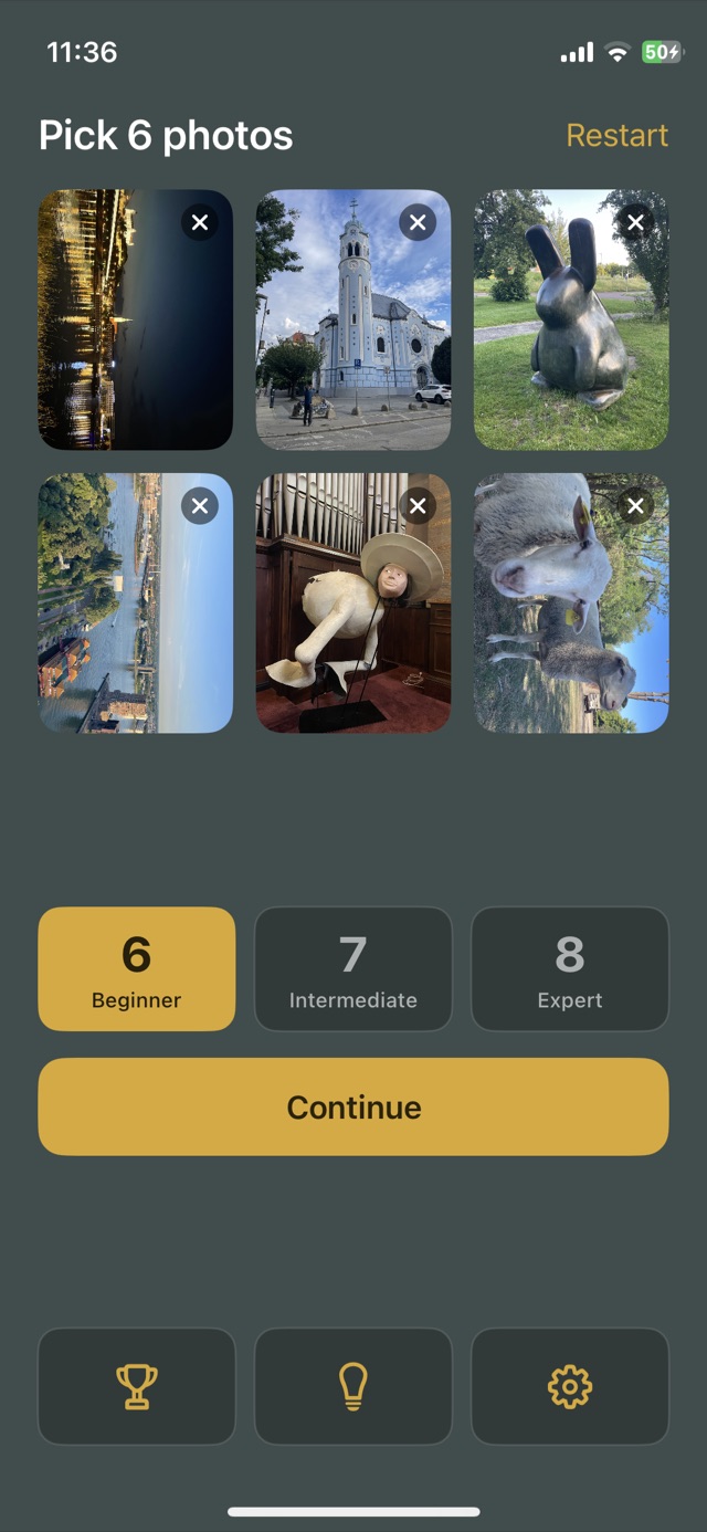 The PhotoTape launch screen — six chosen photos, a level picker and a Continue button on dark green film stock